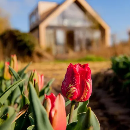 Ecohome Bries 8personen En Baby Zeezand Recreatie *