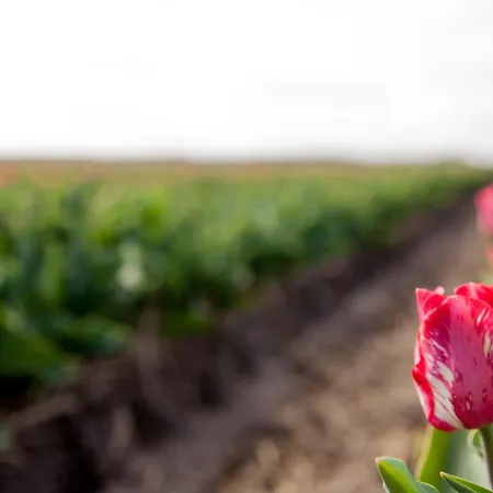 Ecohome Bries 8personen En Baby Zeezand Recreatie 펜션 *