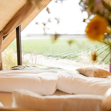 Holiday home Ecohome Bries 8personen En Baby Zeezand Recreatie 't Zand