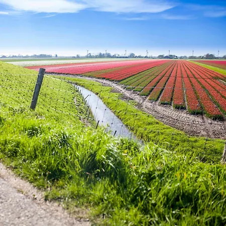 Ecohome Bries 8personen En Baby Zeezand Recreatie * 't Zand