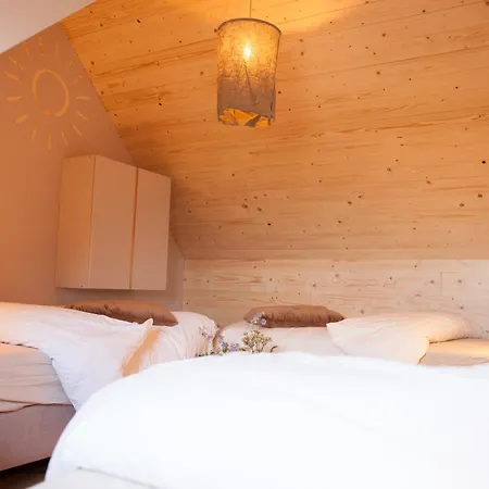 Ecohome Bries 8personen En Baby Zeezand Recreatie