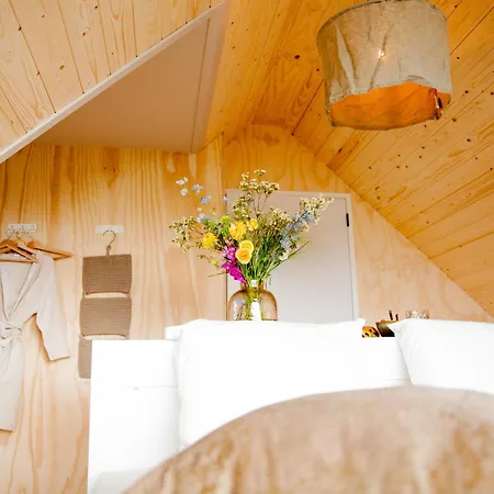 Dom wakacyjny Ecohome Bries 8personen En Baby Zeezand Recreatie