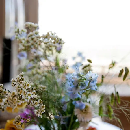 Ecohome Bries 8personen En Baby Zeezand Recreatie Dom wakacyjny *