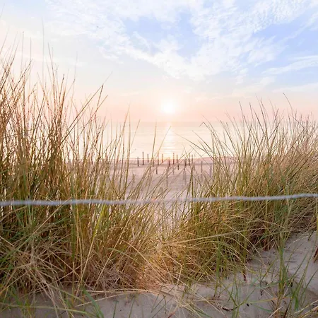 Ecohome Bries 8personen En Baby Zeezand Recreatie *